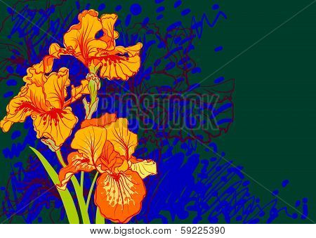 Vector decorative designs of iris flowers