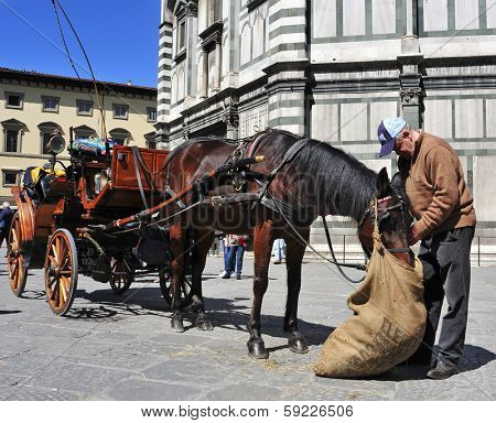 FLORENCE, ITALY - APRIL 14: Carriage in front of Battistero di San Giovanni on April 14, 2013 in Florence, Italy. A service of horse-drawn carriages carry tourists around the old city