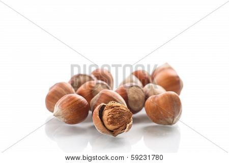 Hazelnut