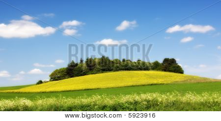 Het platteland