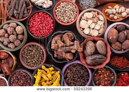 Large Set Of Spices And Seasonings