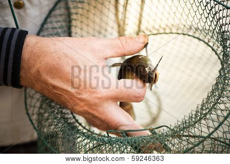 Fishing basket