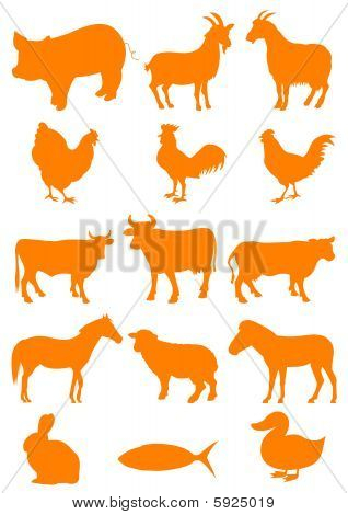 Set of farm animal