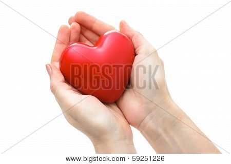 Heart In The Hands Isolated