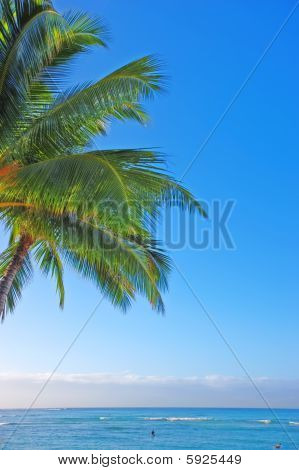 Hawaiian ocean