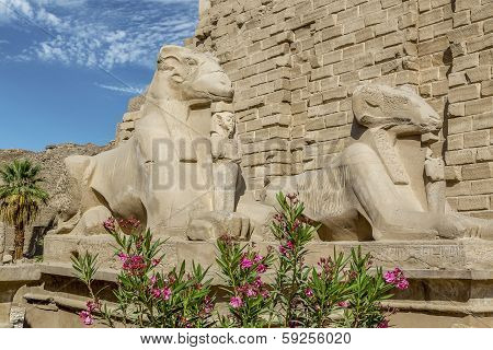 Temple Of Karnak