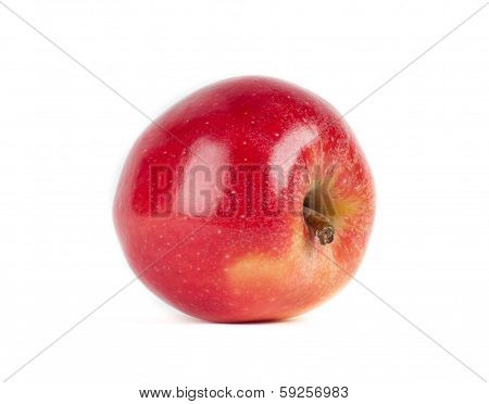 fresh apple on a white background