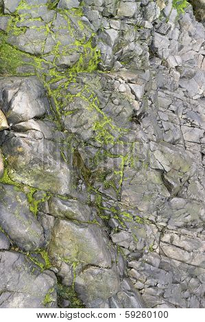 Rock Detail Around Perros-guirec
