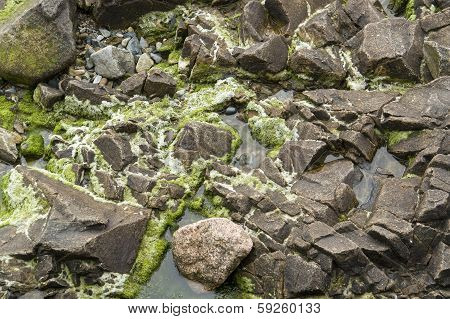Rock Detail Around Perros-guirec