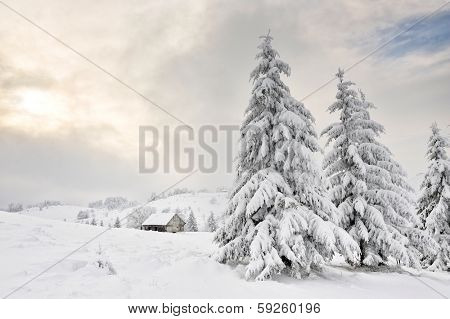 beautiful winter landscape in Sirnea, Romania
