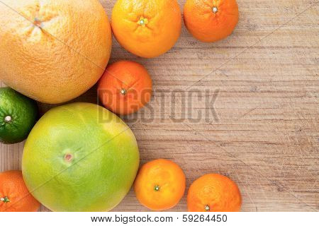 Mixed Citrus Fruit Border