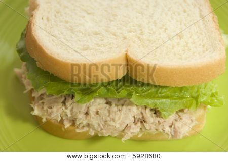 Tonnikala Sandwich lähietäisyydeltä