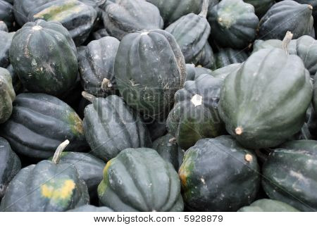 Acorn squash
