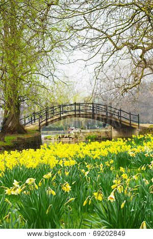 Spring in England