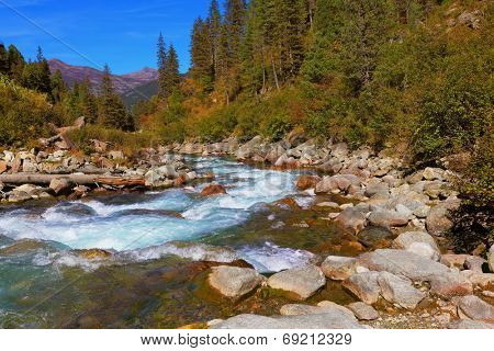 Pastoral in the Alpine mountain valley in Austria. Cascades of cold water at the source of the famous Krimml waterfalls. Rapid mountain stream of coniferous forests