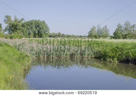 Pond in the village