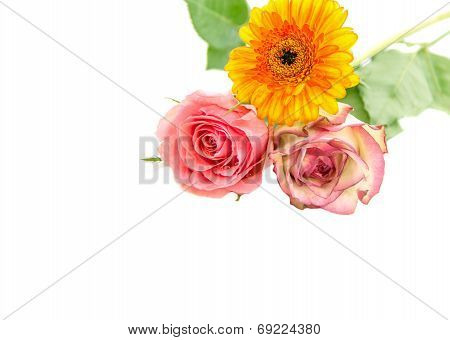 Bouquet