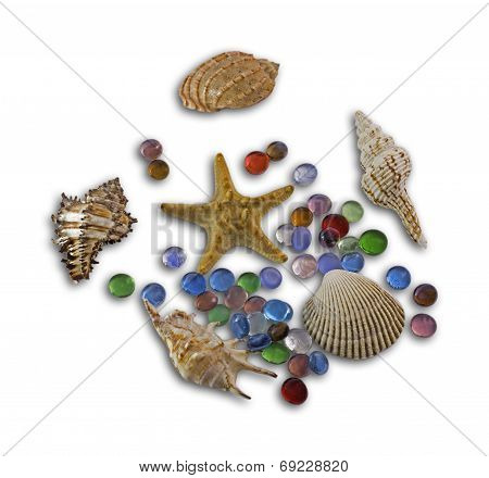 Group of beautiful sea shells and colour stones