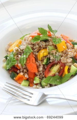 spelt salad, insalata di farro, italian cuisine, close up