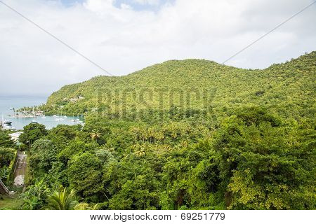 Green Tropical Hills Over Marigot Bay