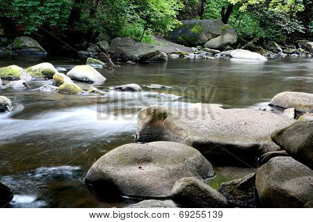 the Harz National Park