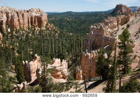 Bryce overser