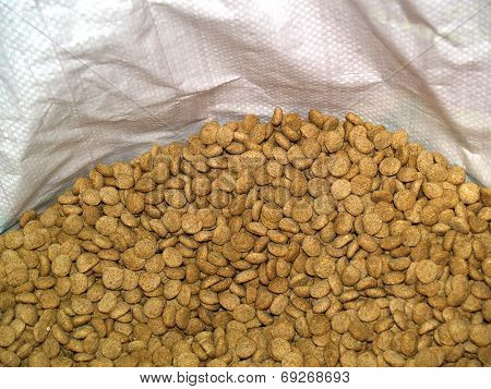 Dry dog's food