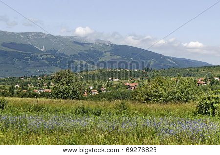 Look to Vitosha mountain from Plana