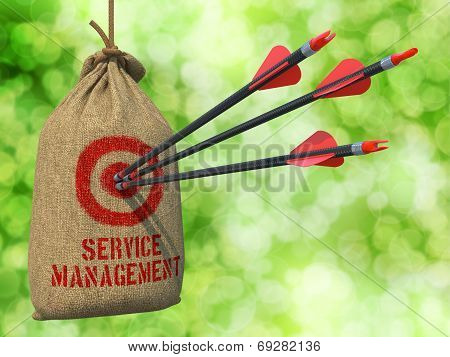 Service Management - Arrows Hit in Target.
