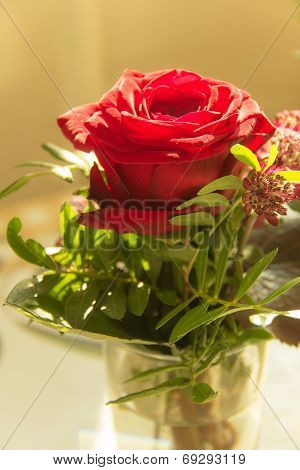 Red Rose
