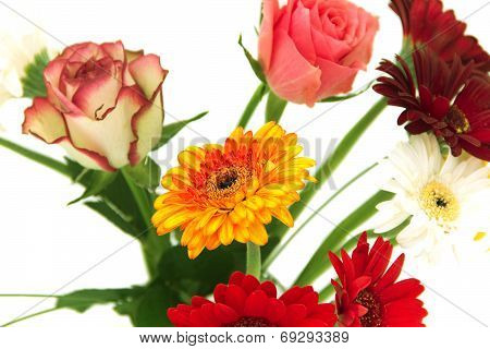 Gerberas And Roses, Flowers