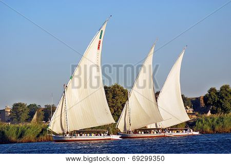 Felucca sails on the Nile river