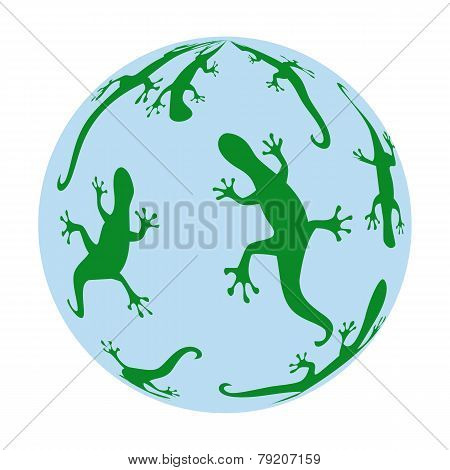 Salamanders