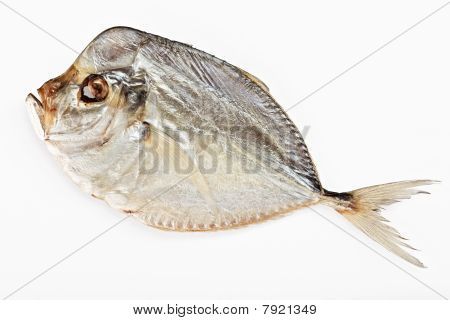 Salata Moonfish isolata On White Background