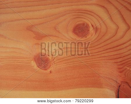 Larch Wood Background