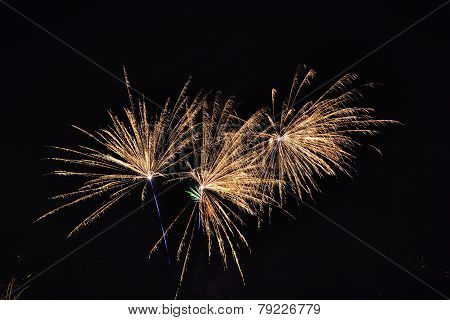 Fireworks at new years day