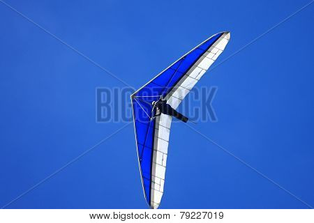 Hang Glider