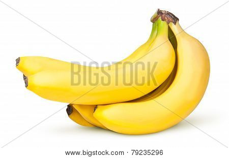 Bunch Of Bananas Upend