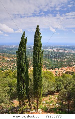 Panoramic view of Fasano. Puglia. Italy.