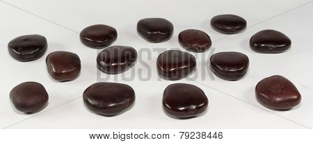 Entada Rheedii Spreng Seeds