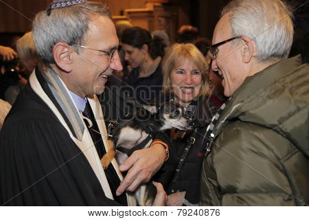 Rabbi Peter Rubinstein blesses small dog
