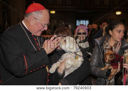 Cardinal Dolan blessing Maltese