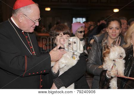 Cardinal Dolan blessing Malteses