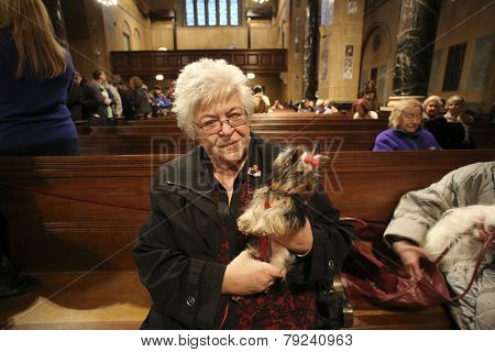 Breeder Paula Segnatelli with Yorkies