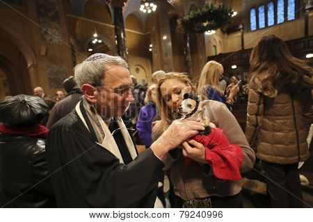 Rabbi Peter Rubinstein blesses small dog