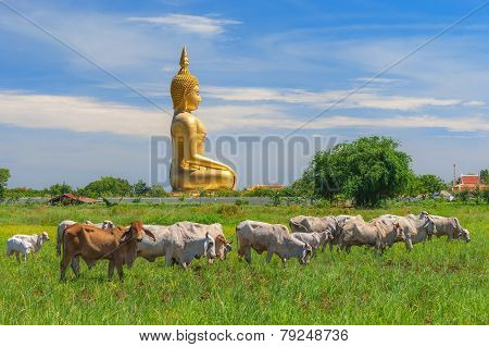 Big Buddha In Thailand