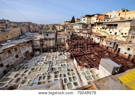 Tannery In Fez, Morocco