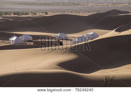 Desert Camp Sahara Morocco