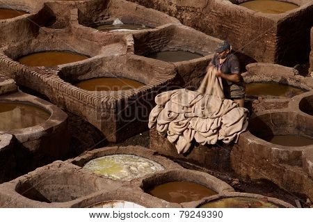 Tannery In Fez, Morocco