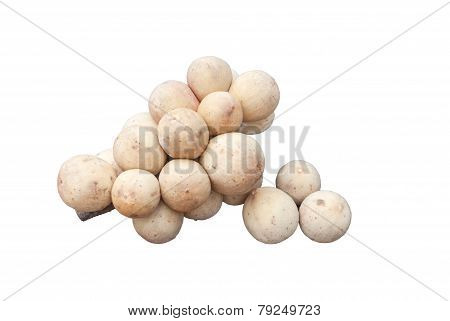 Longkong